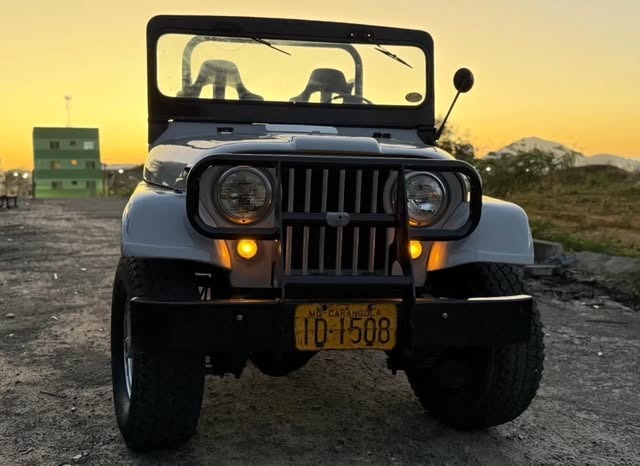 JEEP WILLYS - Imagem 8