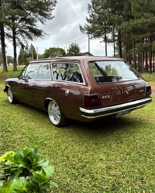 CHEVROLET CARAVAN - Imagem 3
