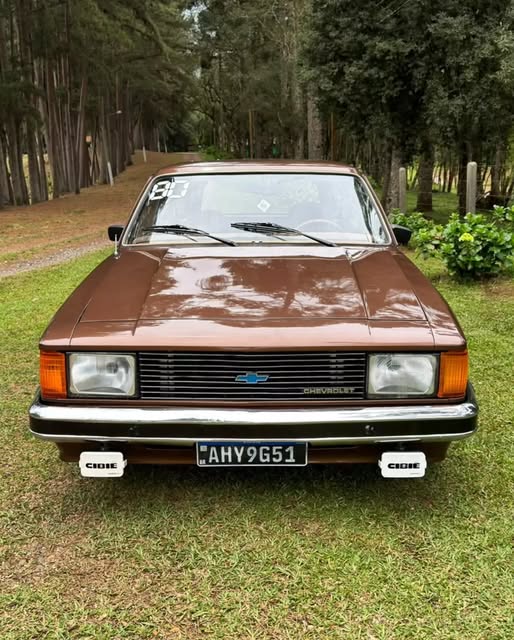 CHEVROLET CARAVAN - Imagem 8