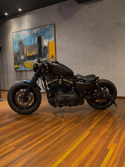 HARLEY-DAVIDSON XL 883 - Imagem 10