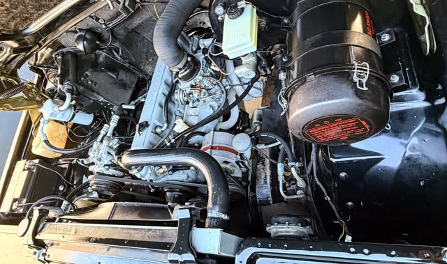 CHEVROLET BONANZA DE LUXO - Imagem 12