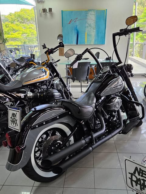HARLEY-DAVIDSON SOFTAIL DELUXE - Imagem 1