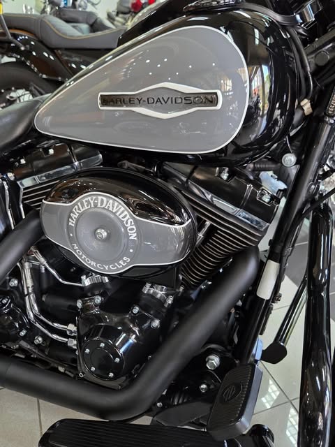 HARLEY-DAVIDSON SOFTAIL DELUXE - Imagem 6