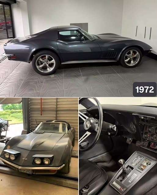 CHEVROLET CORVETTE STINGRAY C3 - Imagem 1