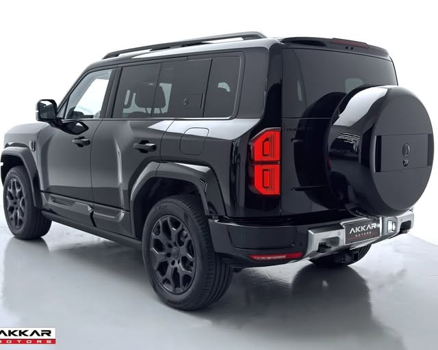 DENZA B5 GS PHEV - Imagem 2