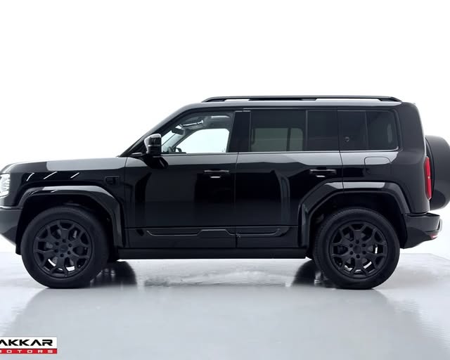 DENZA B5 GS PHEV - Imagem 4