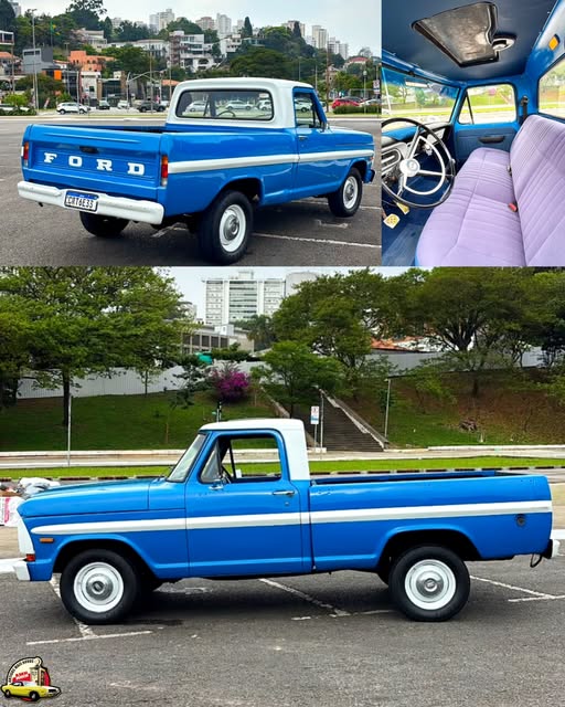FORD F-100 - Imagem 1