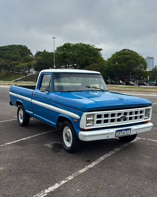 FORD F-100 - Imagem 3
