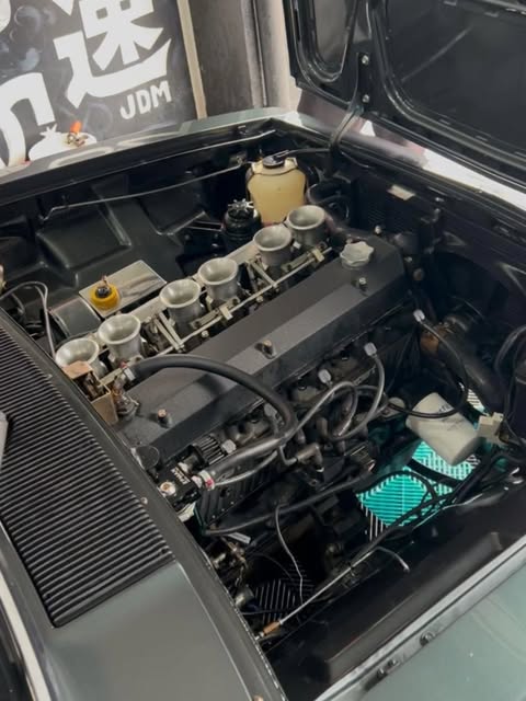 GM OPALA COMODORO - Imagem 13