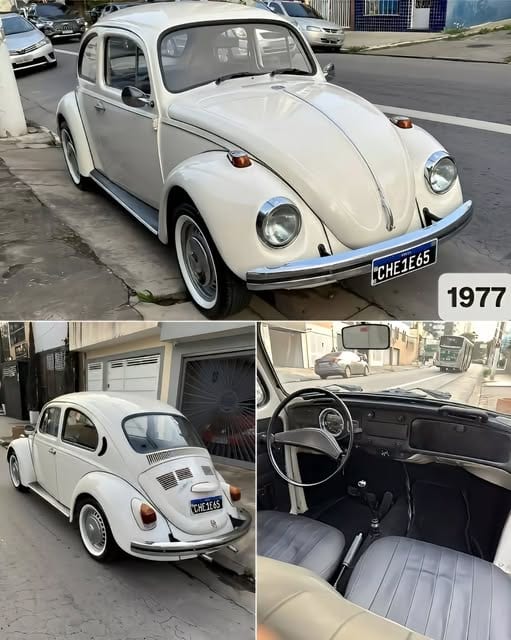 VOLKSWAGEN FUSCA