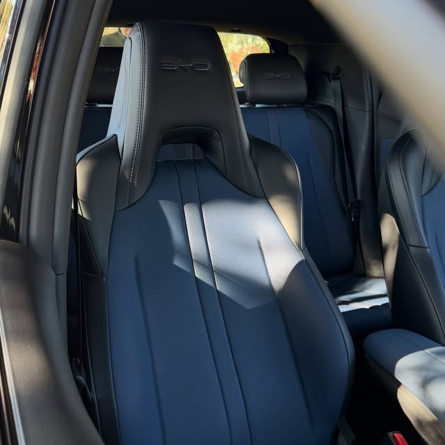 BYD DOLPHIN MINI GS - Imagem 7