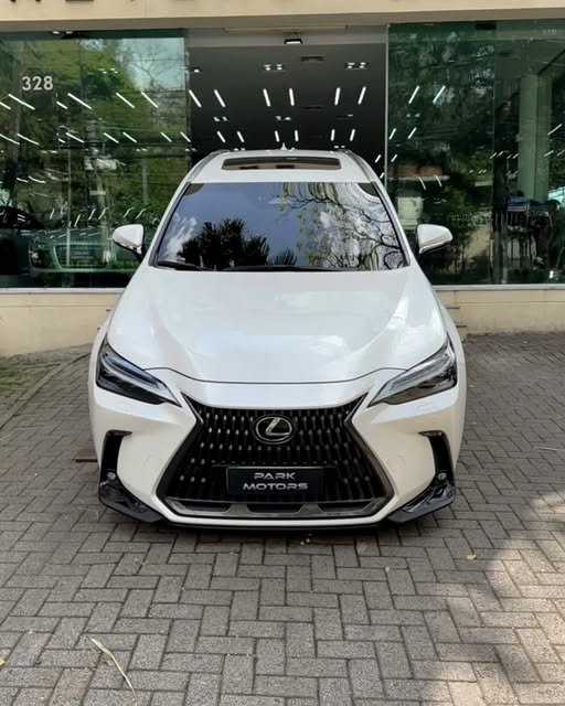 LEXUS NX 350H LUXURY - Imagem 3