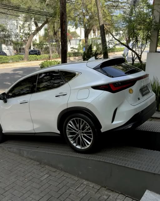 LEXUS NX 350H LUXURY - Imagem 7
