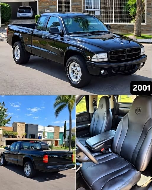 DODGE DAKOTA RT