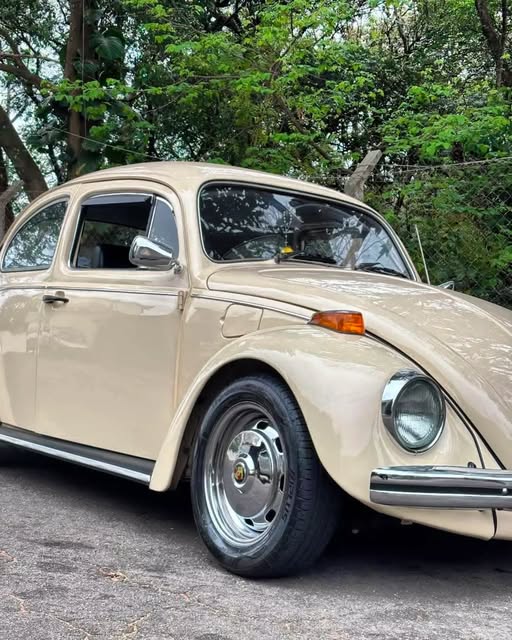 VOLKSWAGEN FUSCA - Imagem 10