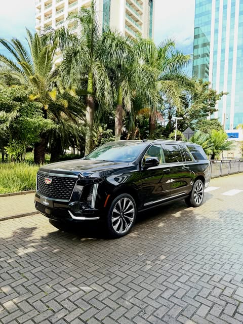 CADILLAC ESCALADE ESV LUXURY - Imagem 1