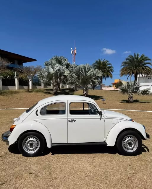 VOLKSWAGEN FUSCA - Imagem 13