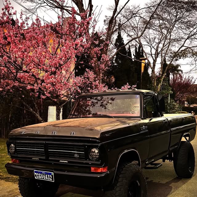 FORD F-1000 - Imagem 10
