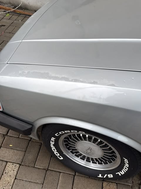 GM OPALA COMODORO SL/E - Imagem 13