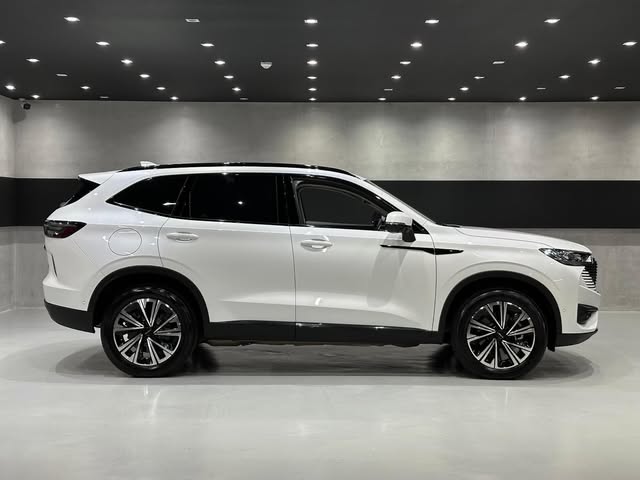GWM HAVAL H6 - Imagem 10