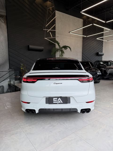 PORSCHE CAYENNE PLATINUM EDITION - Imagem 10