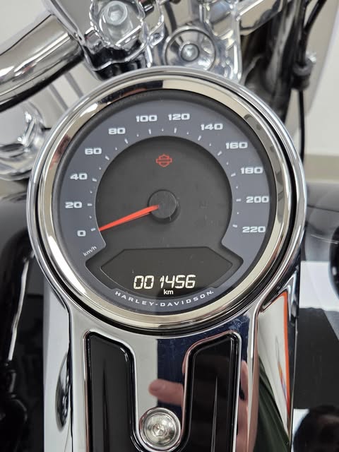 HARLEY-DAVIDSON SOFTAIL FAT BOY - Imagem 16