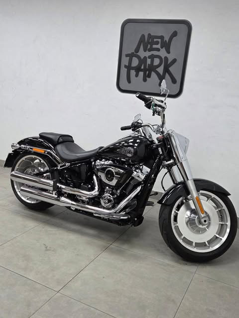 HARLEY-DAVIDSON SOFTAIL FAT BOY - Imagem 3
