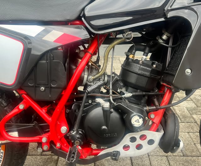 AGRALLE SXT 27.5 - Imagem 5