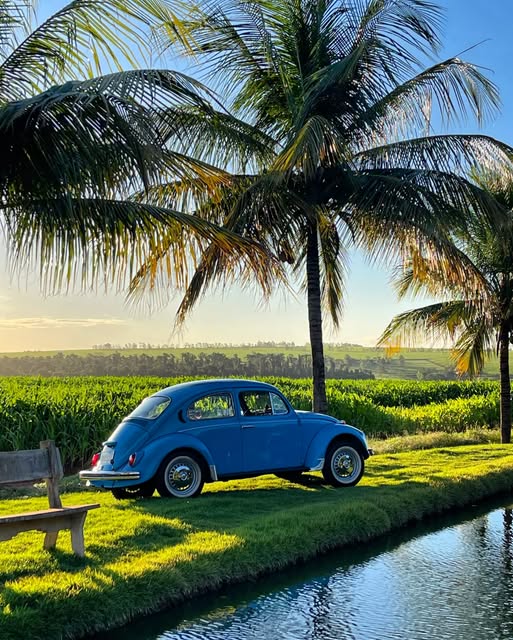 VOLKSWAGEN FUSCA - Imagem 7