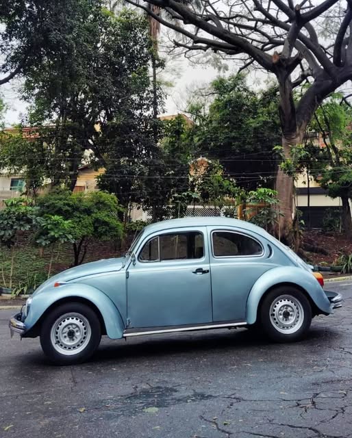 VOLKSWAGEN FUSCA LOVE - Imagem 16