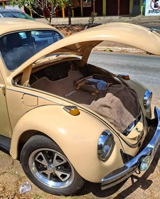 VOLKSWAGEN FUSCA - Imagem 8