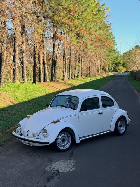 VOLKSWAGEN FUSCA - Imagem 2