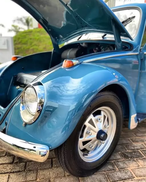 VOLKSWAGEN FUSCA - Imagem 12
