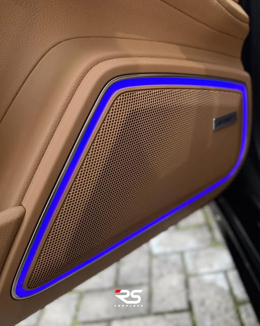 PORSCHE PANAMERA E-HYBRID PLATINUM EDITION - Imagem 10