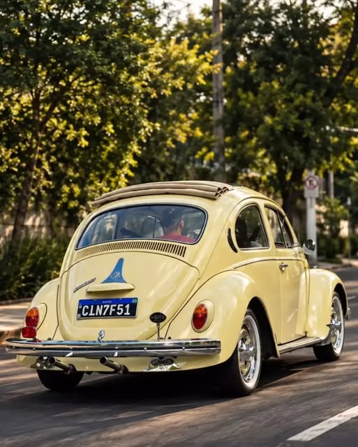 VOLKSWAGEN FUSCA - Imagem 11