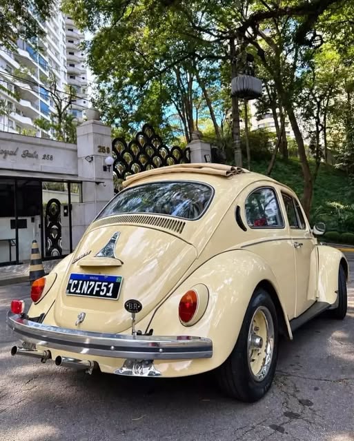 VOLKSWAGEN FUSCA - Imagem 3