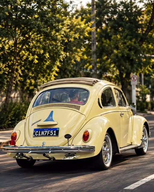 VOLKSWAGEN FUSCA - Imagem 11