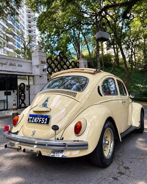VOLKSWAGEN FUSCA - Imagem 3