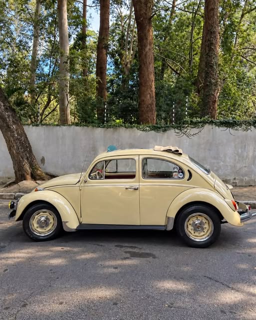 VOLKSWAGEN FUSCA - Imagem 7