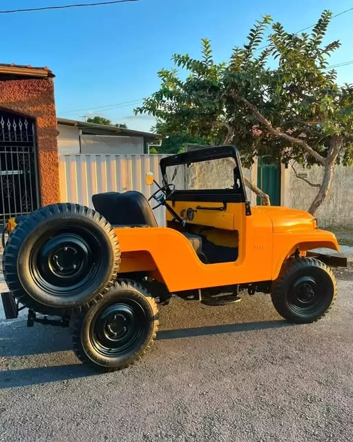 JEEP WILLYS - Imagem 9