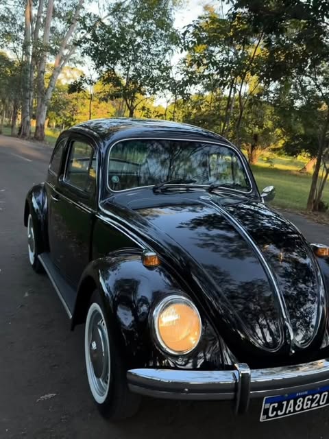 VOLKSWAGEN FUSCA - Imagem 8