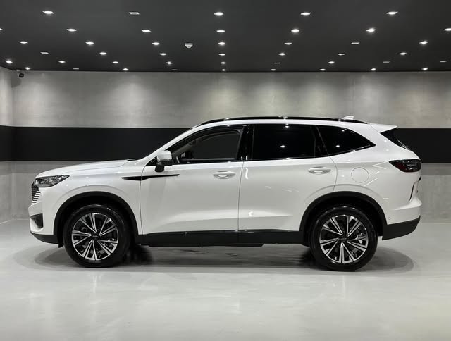 GWM HAVAL H6 - Imagem 10