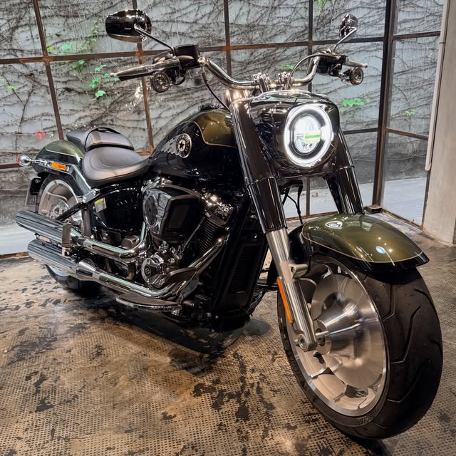 HARLEY-DAVIDSON FAT BOY 117 - Imagem 1