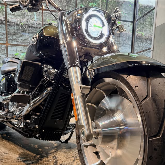 HARLEY-DAVIDSON FAT BOY 117 - Imagem 2