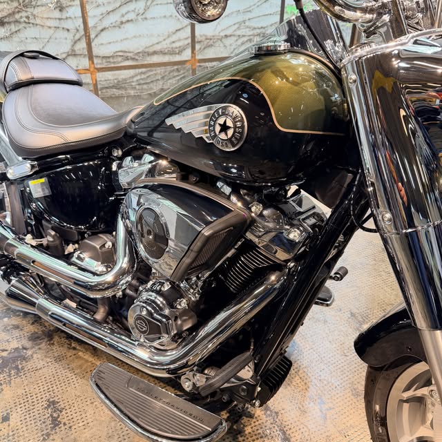 HARLEY-DAVIDSON FAT BOY 117 - Imagem 4
