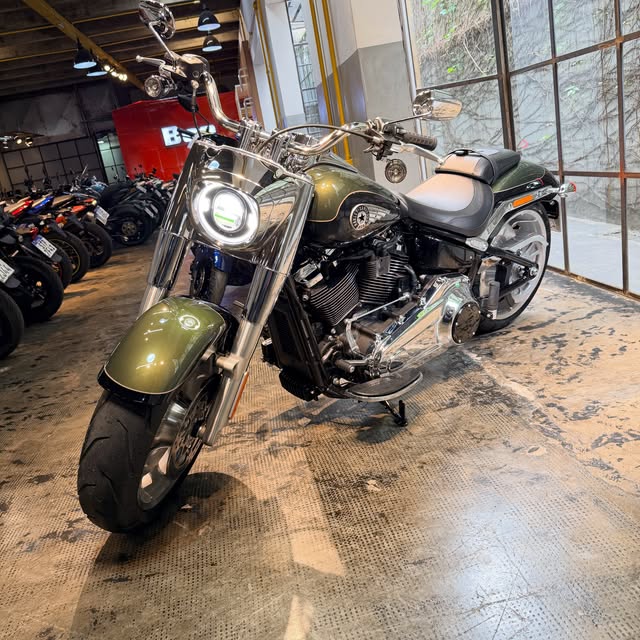 HARLEY-DAVIDSON FAT BOY 117 - Imagem 6