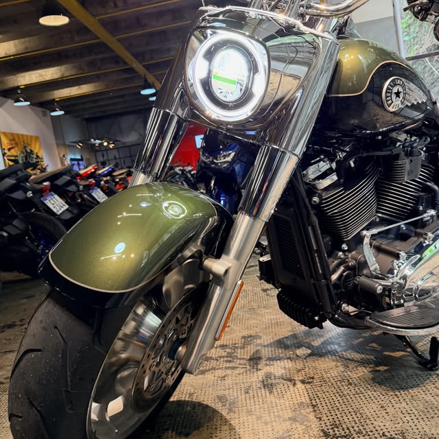 HARLEY-DAVIDSON FAT BOY 117 - Imagem 7