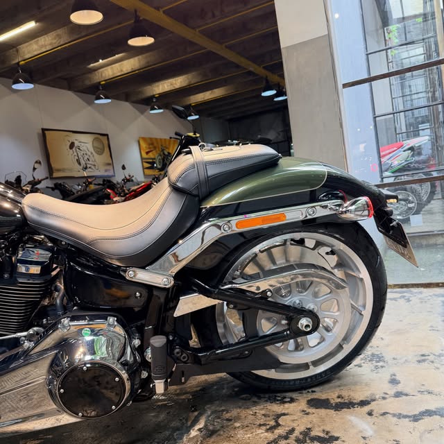 HARLEY-DAVIDSON FAT BOY 117 - Imagem 9