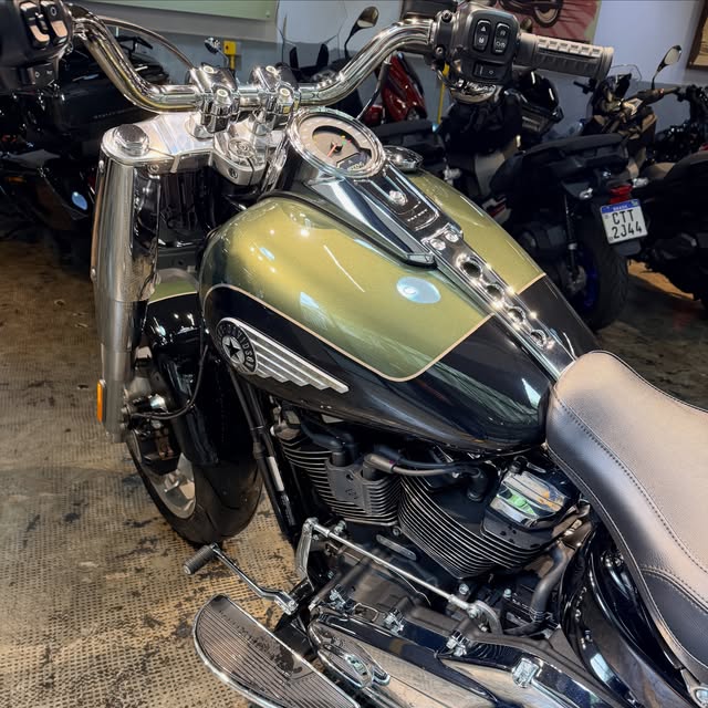 HARLEY-DAVIDSON FAT BOY 117 - Imagem 10