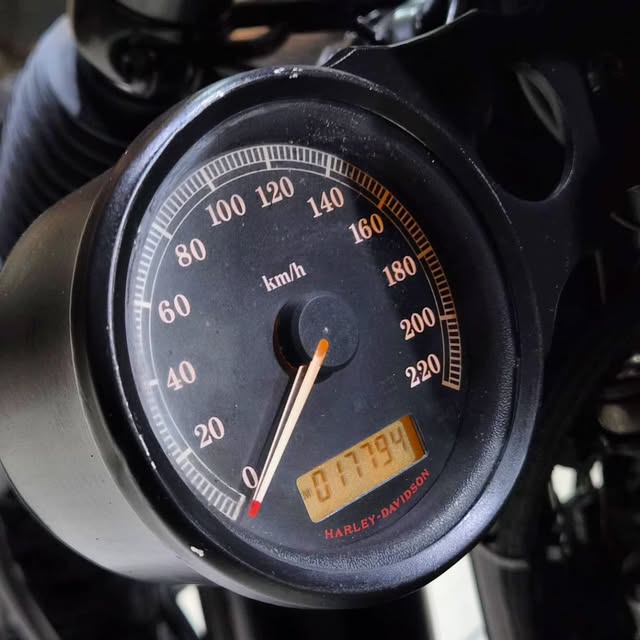 HARLEY-DAVIDSON IRON 883 - Imagem 2